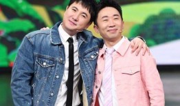 杨迪爆料请薇娅吃饭视频,揭秘娱乐圈幕后故事