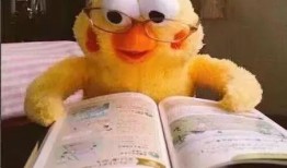 搞笑的视频爆料文案短句,笑料百出！搞笑视频爆料短句大盘点