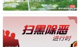 新闻趣事爆料大全图片视频,揭秘爆笑图片与视频背后的趣味故事